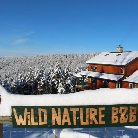 Wild Nature B&B Келоуна Экстерьер фото