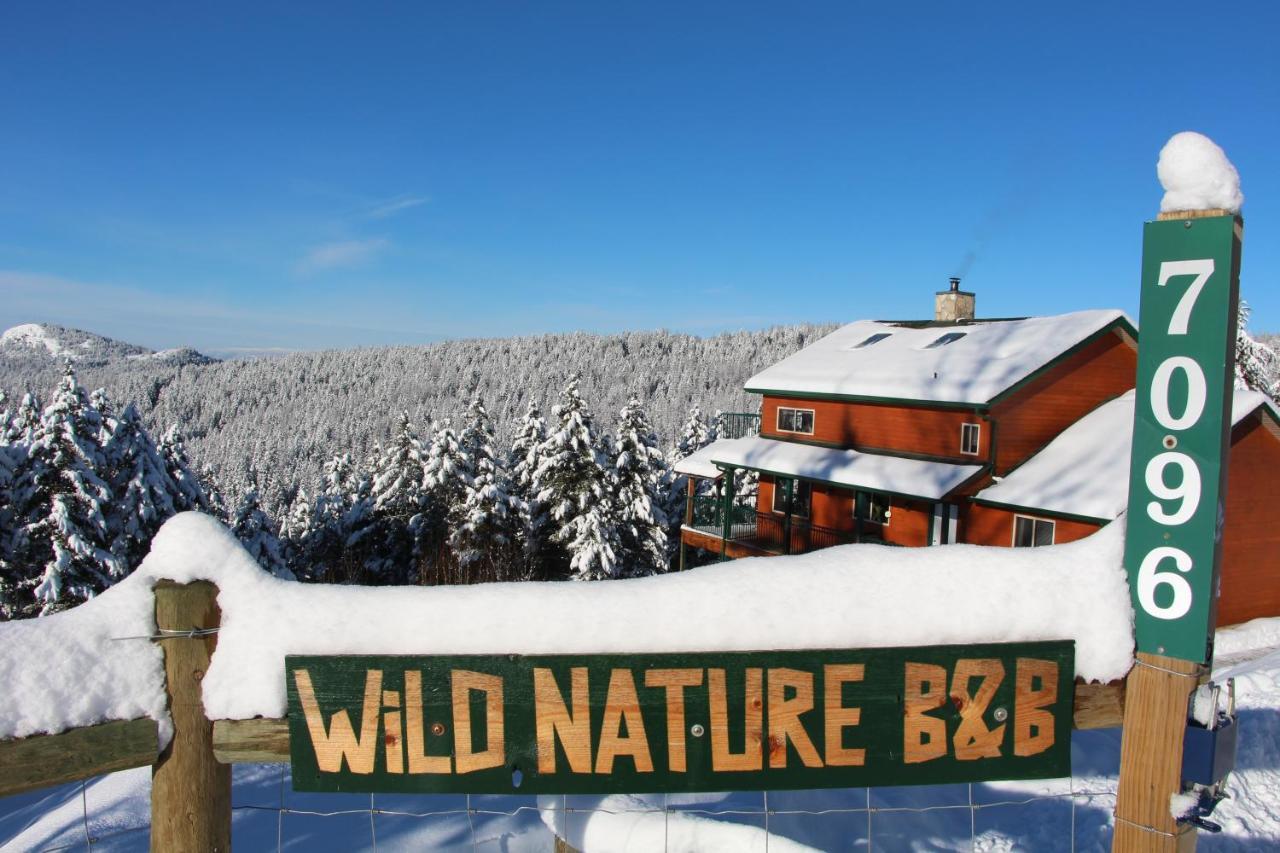 Wild Nature B&B Келоуна Экстерьер фото